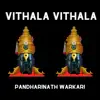 Pandharinath Warkari - Vithala Vithala - Single